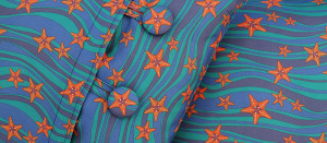 Starfish stripe cushions