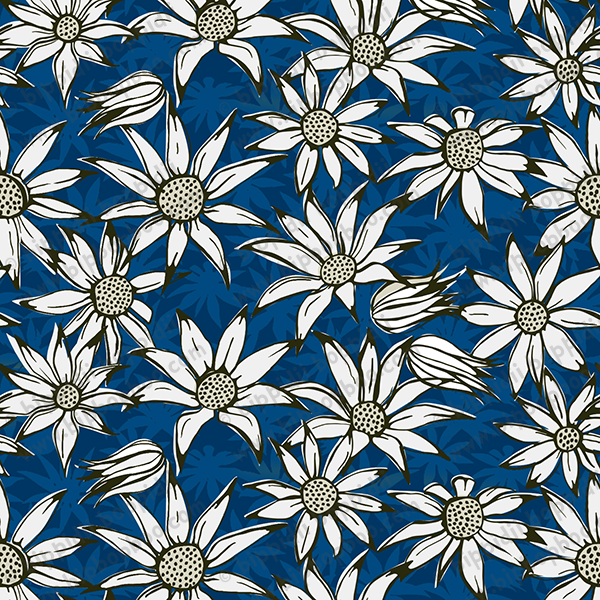 flannel flowers - blue